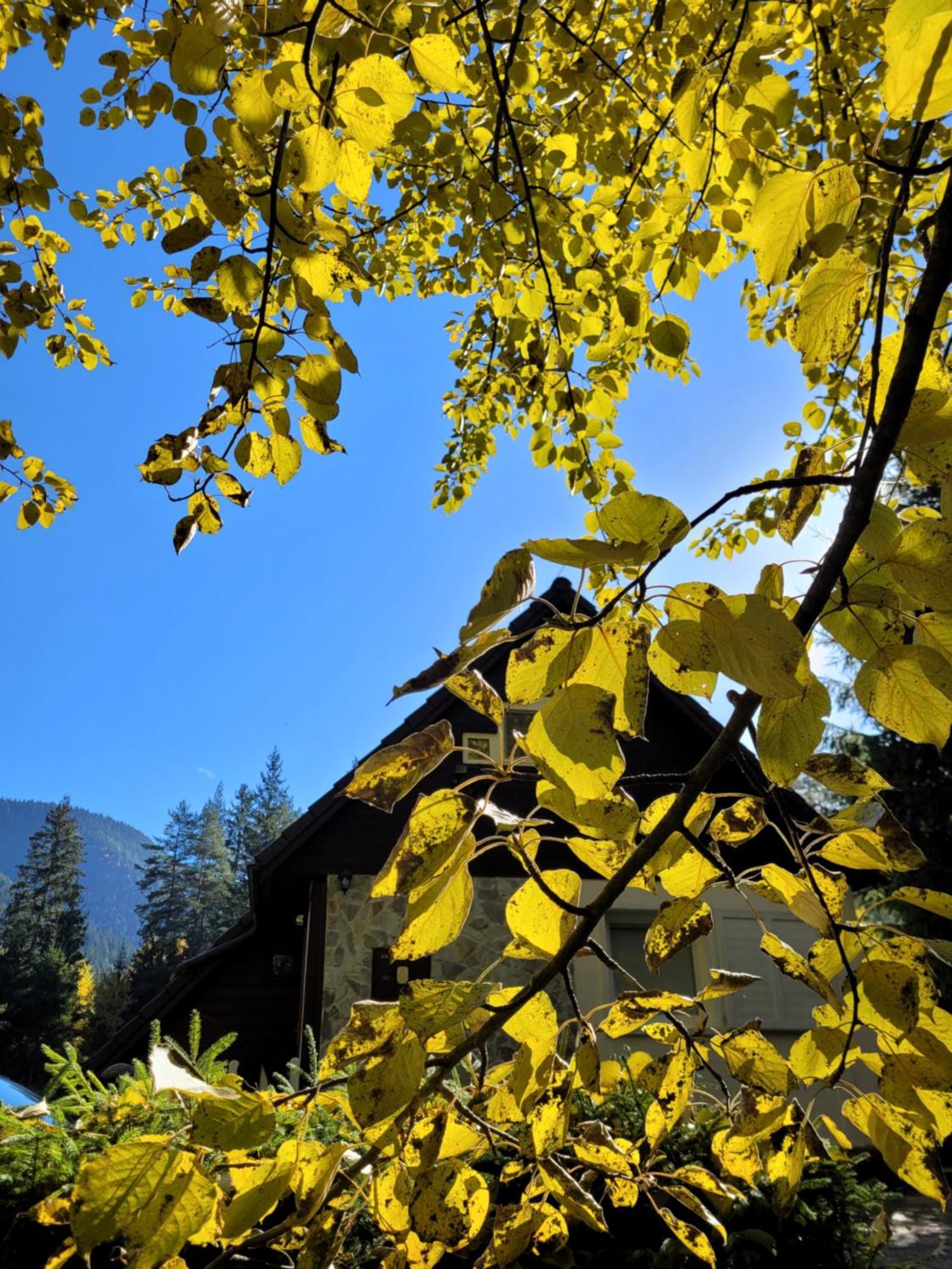 Chata Bacova Skala Liptovský Ján Buitenkant foto